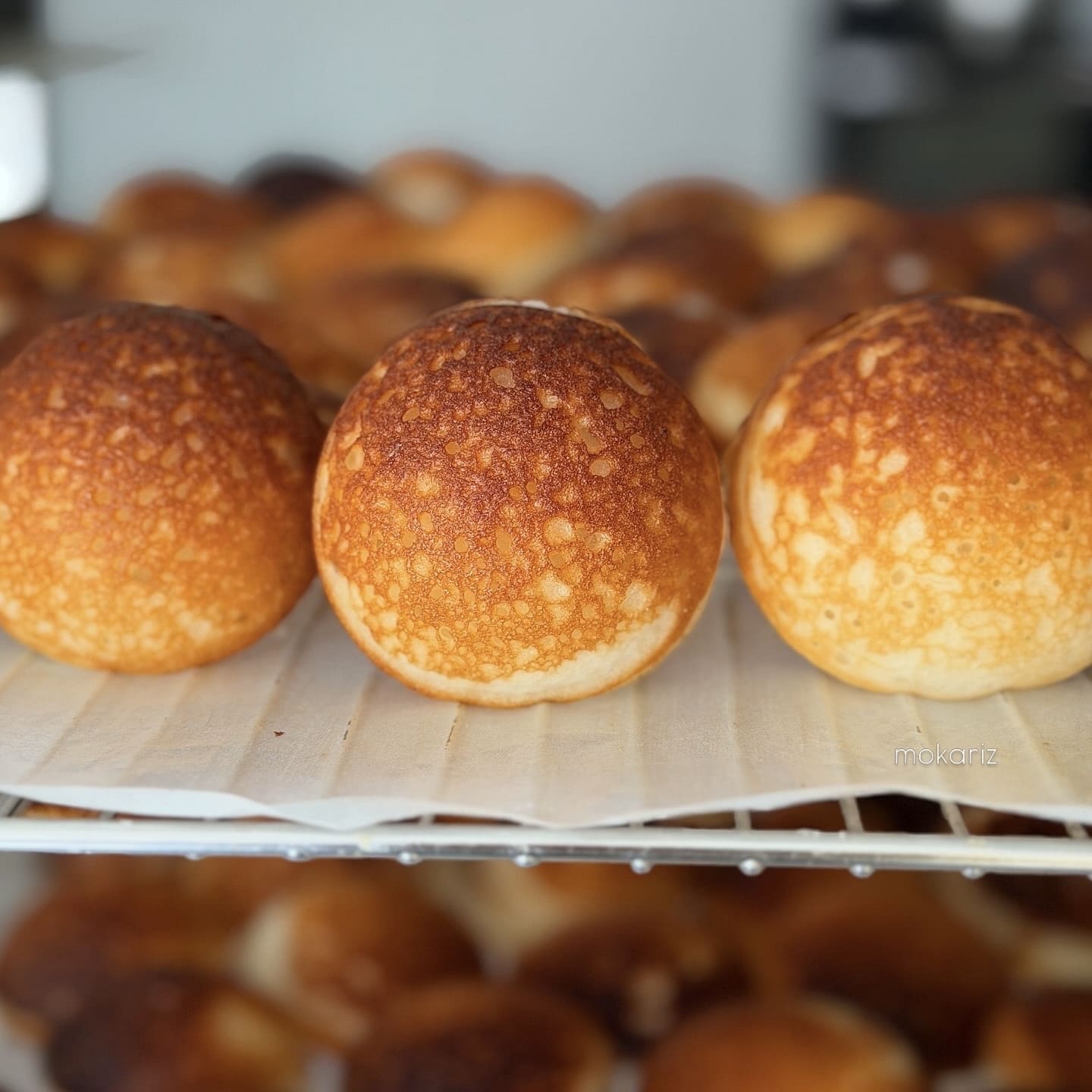 GATEAU SANS GLUTEN FERMENTÉ