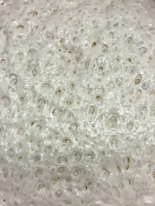 Levain naturel