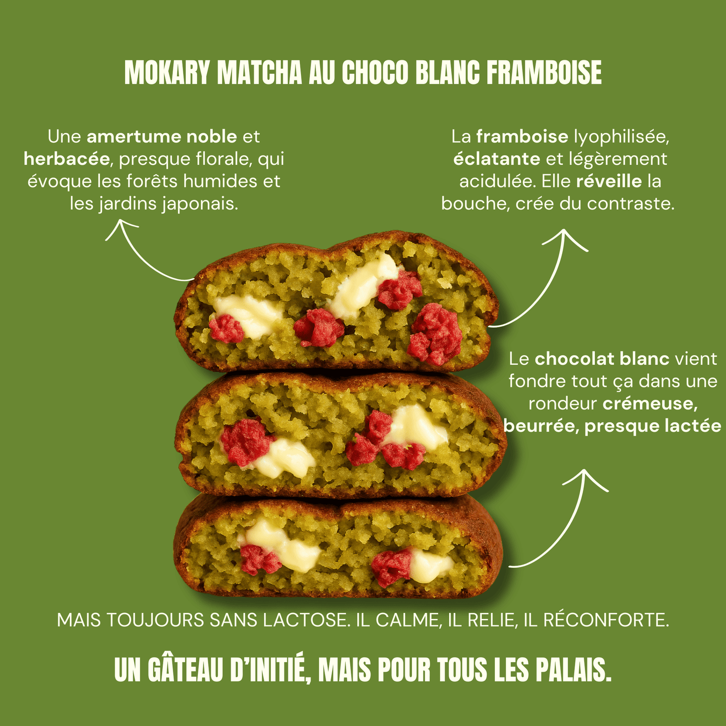 GATEAU SANS GLUTEN MATCHA FRAMBOISE CHOCO BLANC