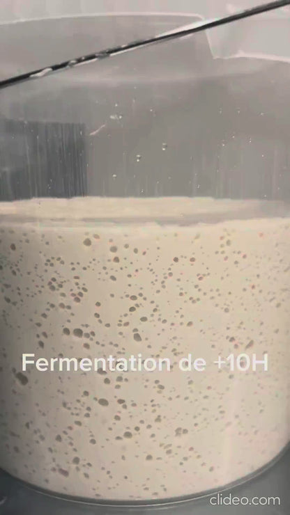GATEAU SANS GLUTEN FERMENTÉ